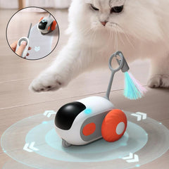 Cat Car Toy USB Charging