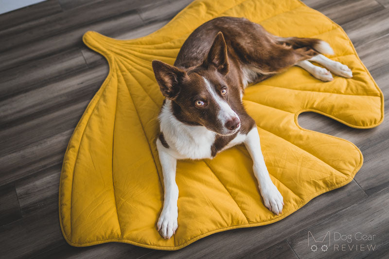 Leaf Shape Dog Blanket