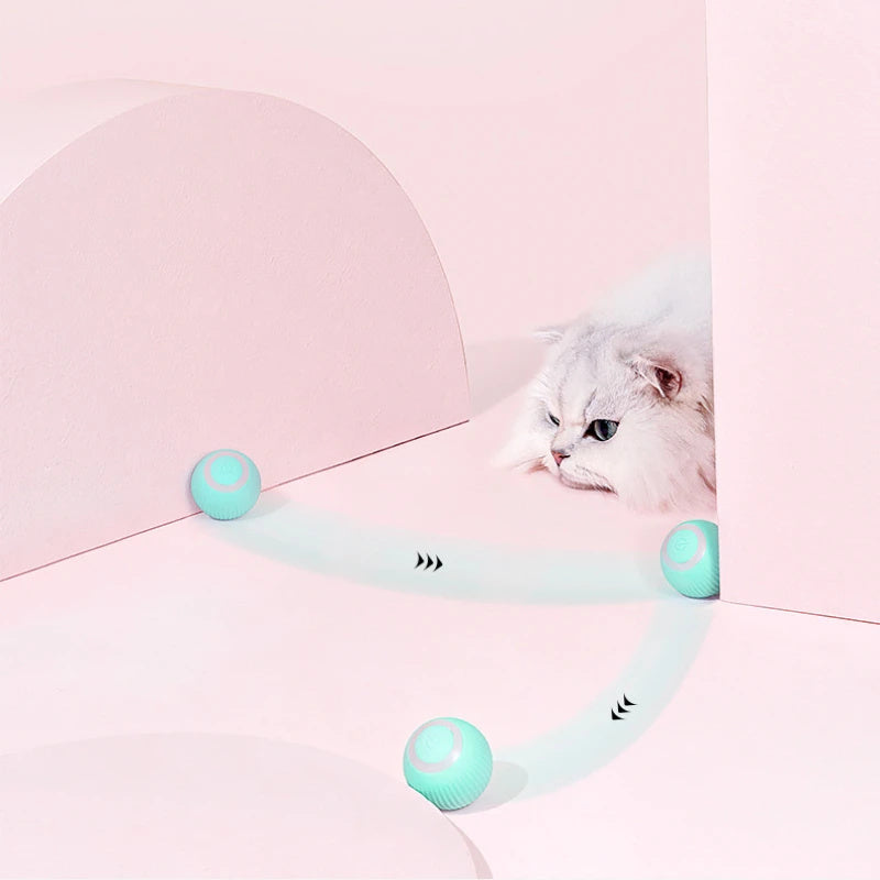 Cat Car Toy USB Charging