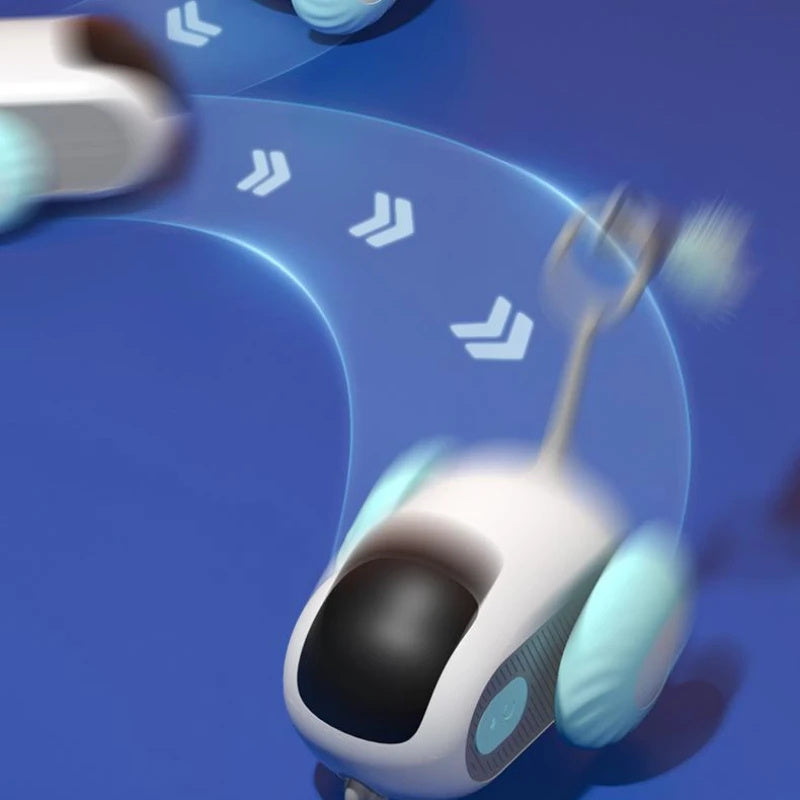 Cat Car Toy USB Charging